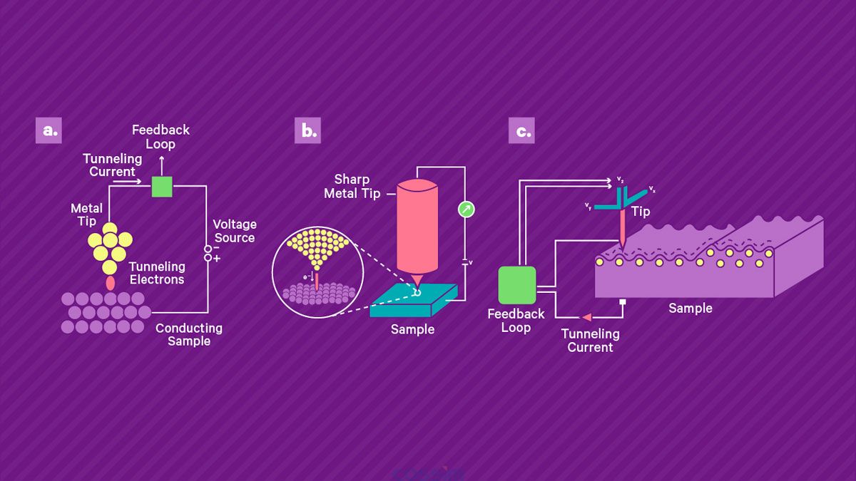 掃描隧道顯微鏡的工作原理。 a) 將鋒利的導(dǎo)電尖端靠近導(dǎo)電樣品表面并施加偏置電壓，從而產(chǎn)生穿過間隙的小隧道電流。 該電流由高增益放大器讀出。 b) 壓電掃描系統(tǒng)用于控制尖端與表面的分離并在表面上掃描尖端。 當(dāng)尖端保持在恒定高度時，電流幅度可用作尖端表面分離的直接測量，從而實現(xiàn)地形成像。 或者，可以使用反饋回路通過改變定位系統(tǒng)的控制電壓來保持恒定電流，該控制電壓被記錄下來并產(chǎn)生樣品上的形貌和電子密度的測量值。